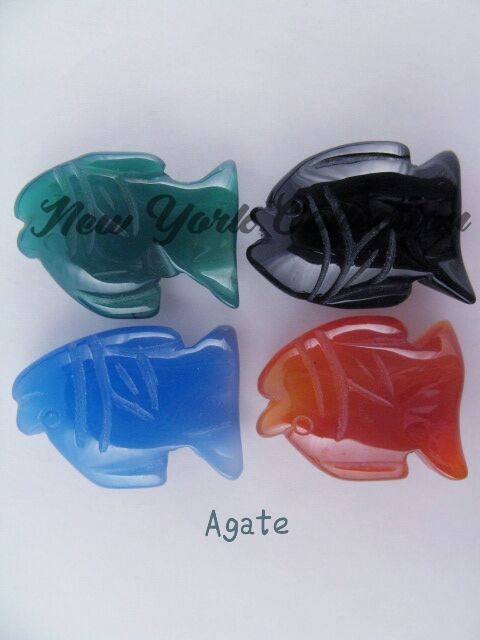Agate pesci (1).jpg